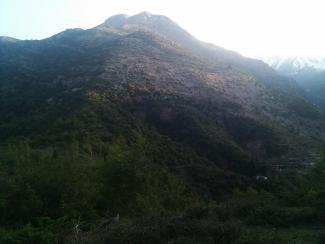 Η πυκνή βλάστηση του χωριού.