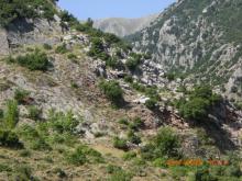 Τα βουνά του χωριού.