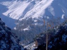 Τα βουνά μας ντυμένα στα λευκά.